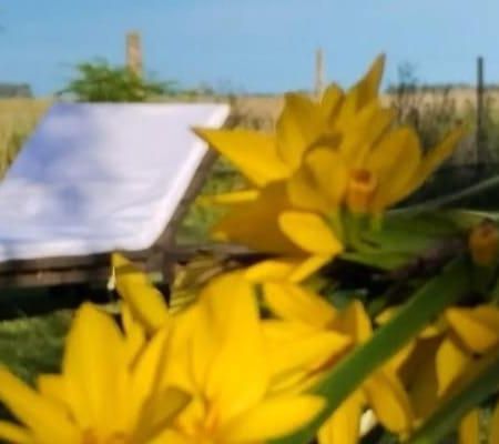 فيلا La Narcisa بيهواجو المظهر الخارجي الصورة