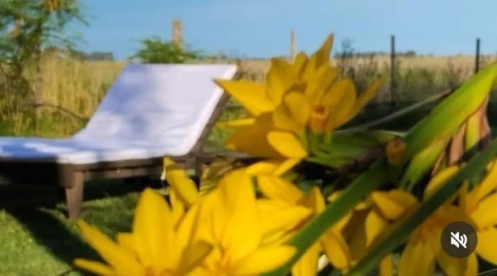فيلا La Narcisa بيهواجو المظهر الخارجي الصورة